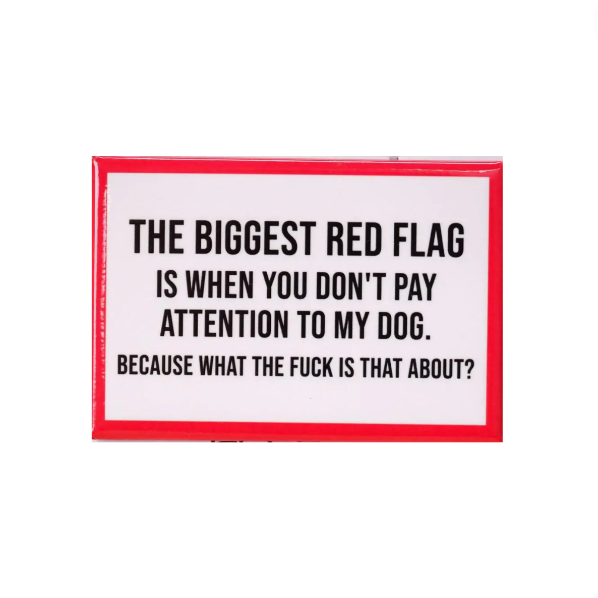 The Biggest Red Flag Is When You Don't Pay Attention To My Dog. Because What The Fuck Is That About? Magnet