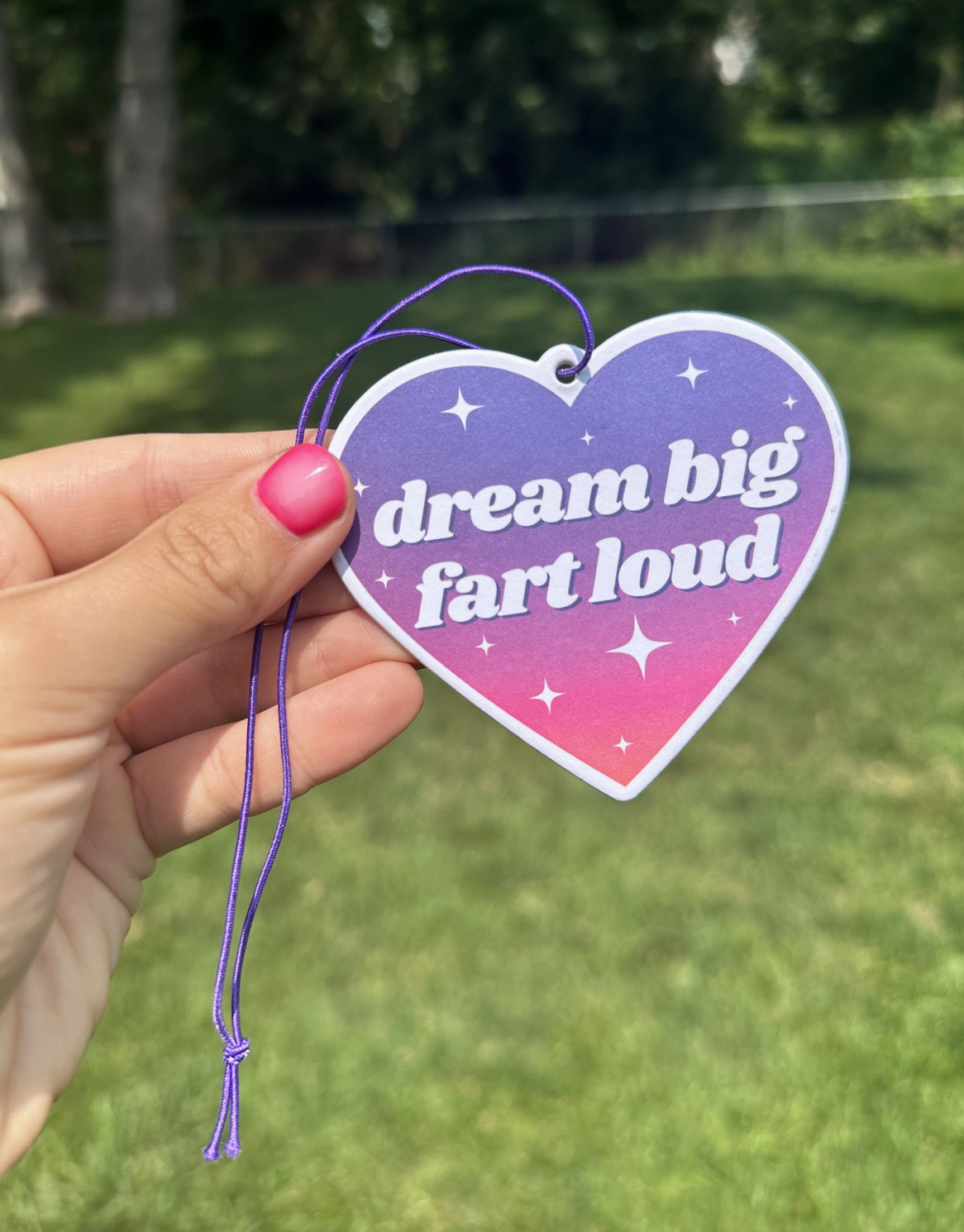 Dream Big Fart Loud Air Freshener