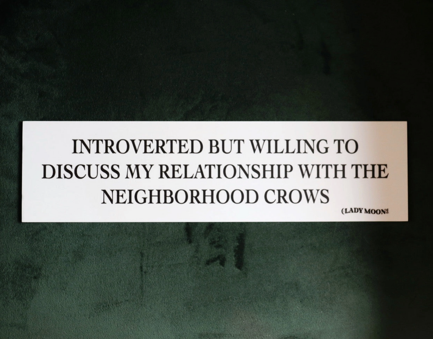 Introverted But Willing To Discuss My Relationship With The Neighborhood Crows Bumper Sticker