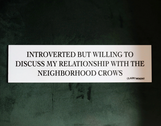 Introverted But Willing To Discuss My Relationship With The Neighborhood Crows Bumper Sticker