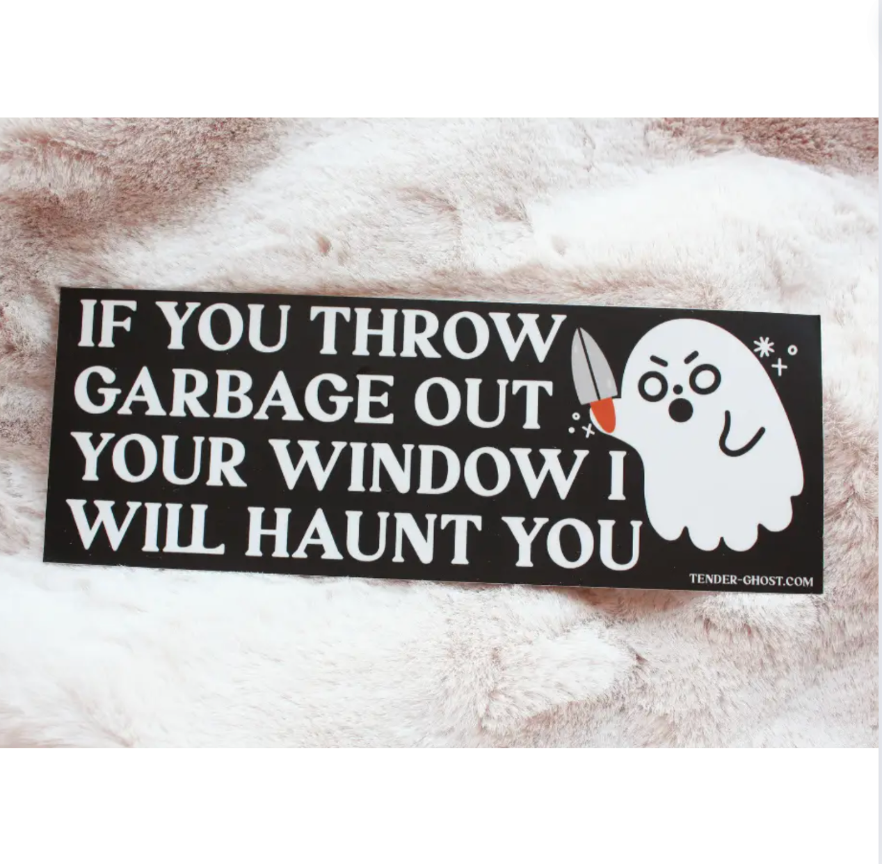 If You Throw Garbage Out Your Window I Will Haunt You Bumper Sticker