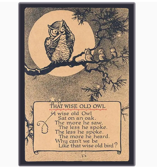 Wise Old Owl Magnet