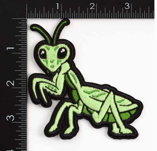 Praying Mantis Fuzzy Patch