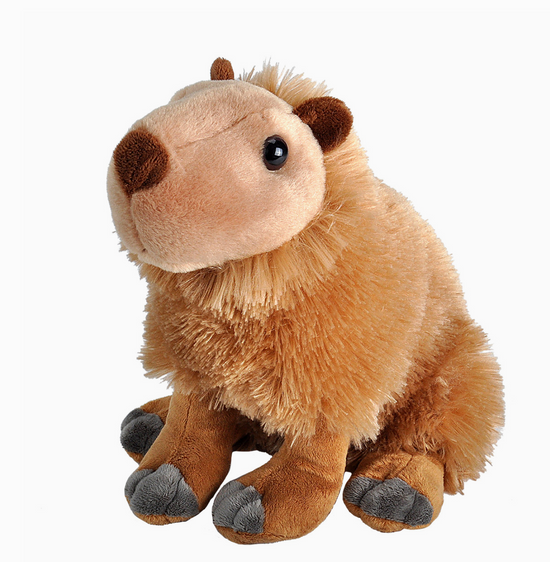 Capybara Plushie