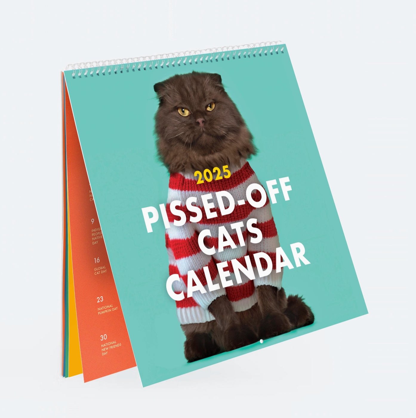 2025 Pissed Off Cats Calendar