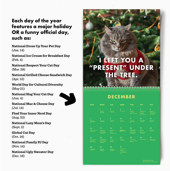 2025 Pissed Off Cats Calendar