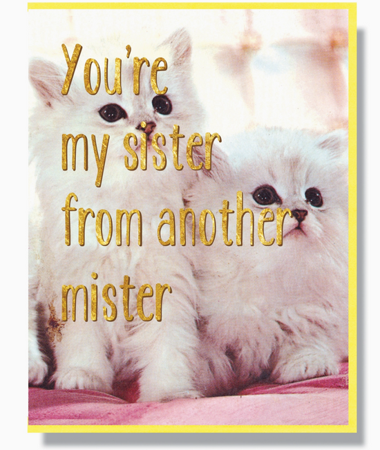 You're My Sister From Another Mister Card