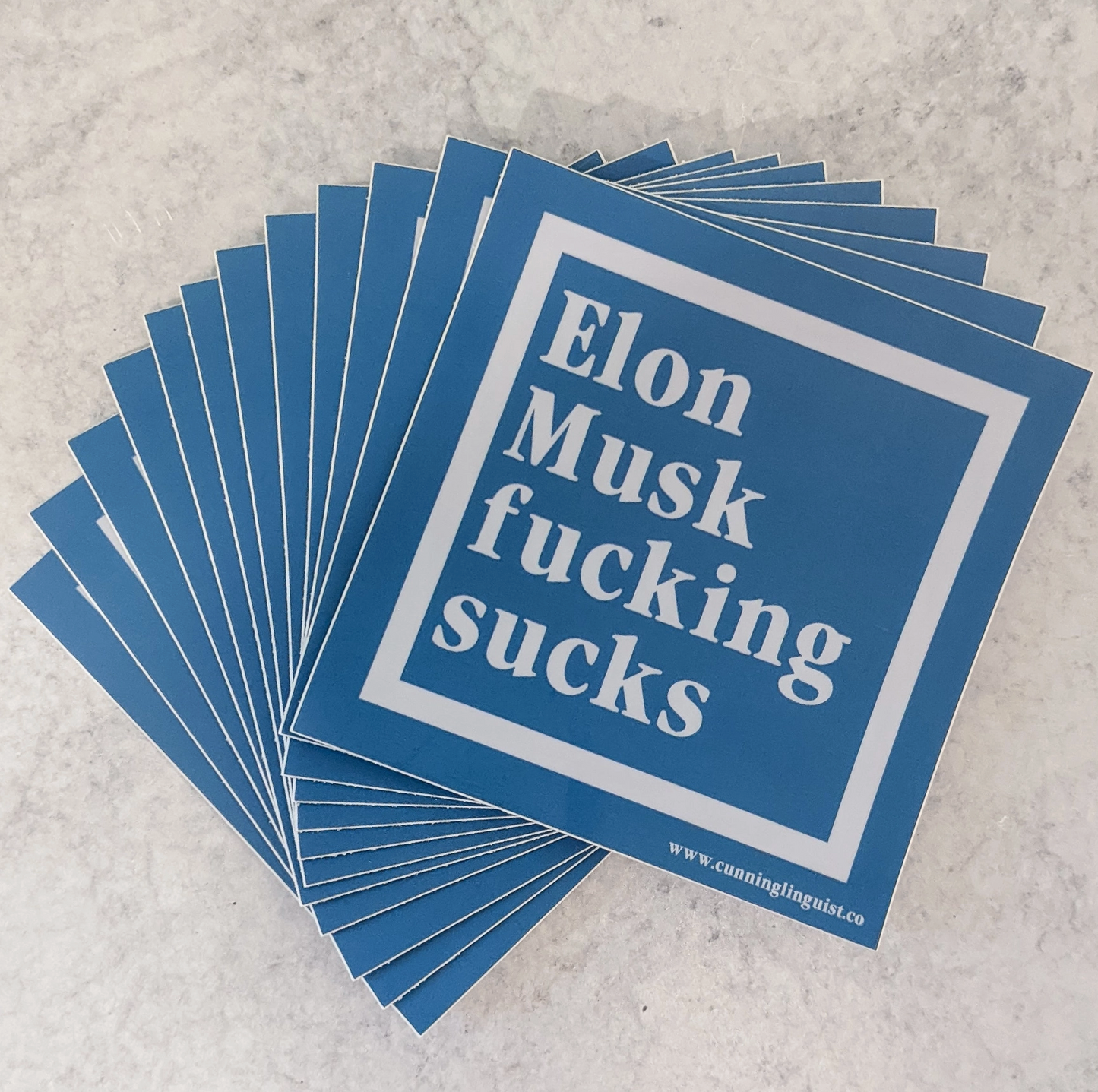 Elon Musk Fucking Sucks Sticker