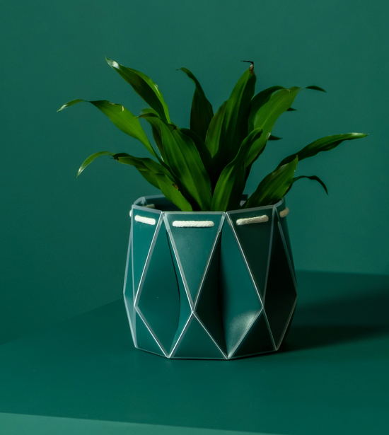 POTR Dark Teal Self Watering Pot (11cm)