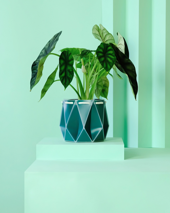 POTR Dark Teal Self Watering Pot (15cm)