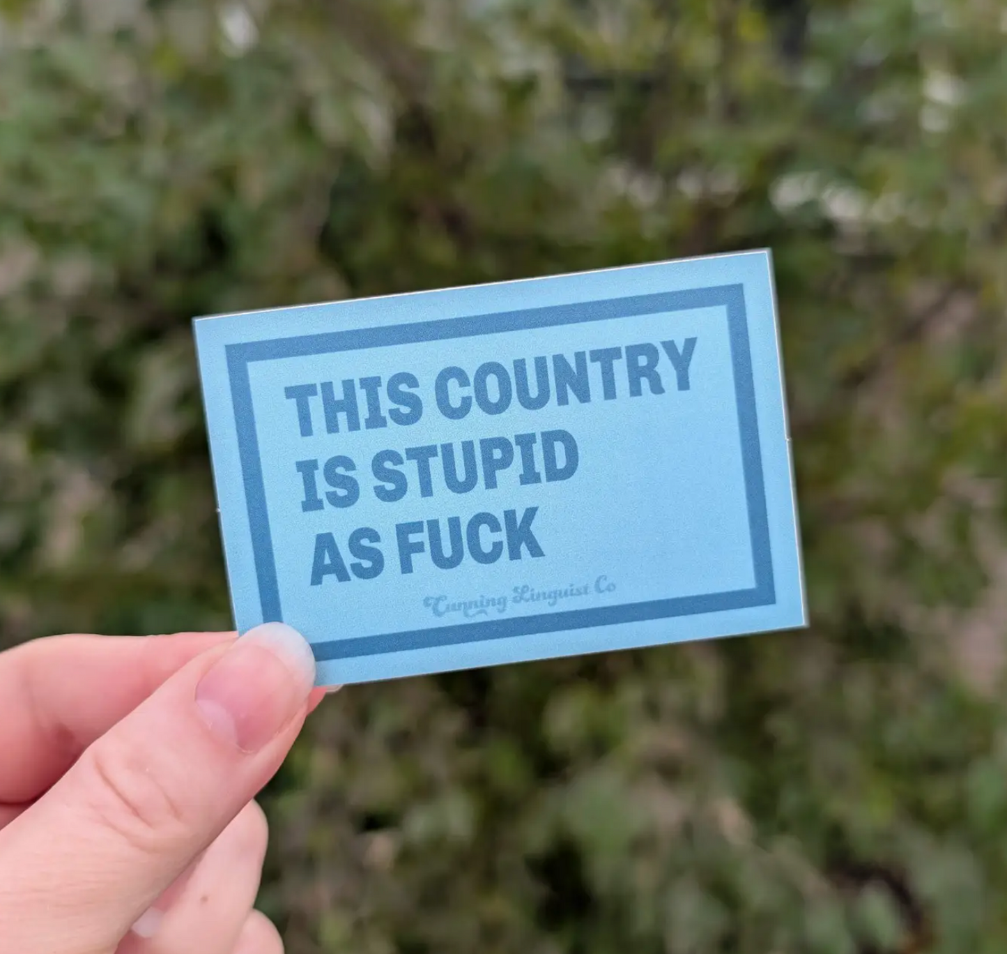 This Country Is Stupid As Fuck Sticker