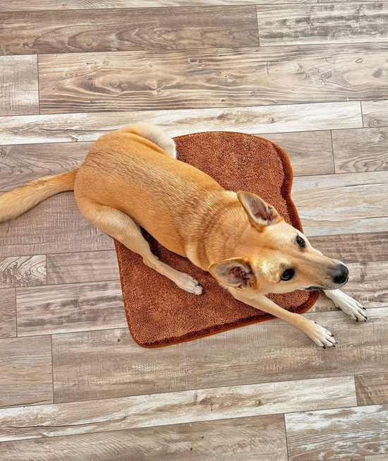 Toast Rug