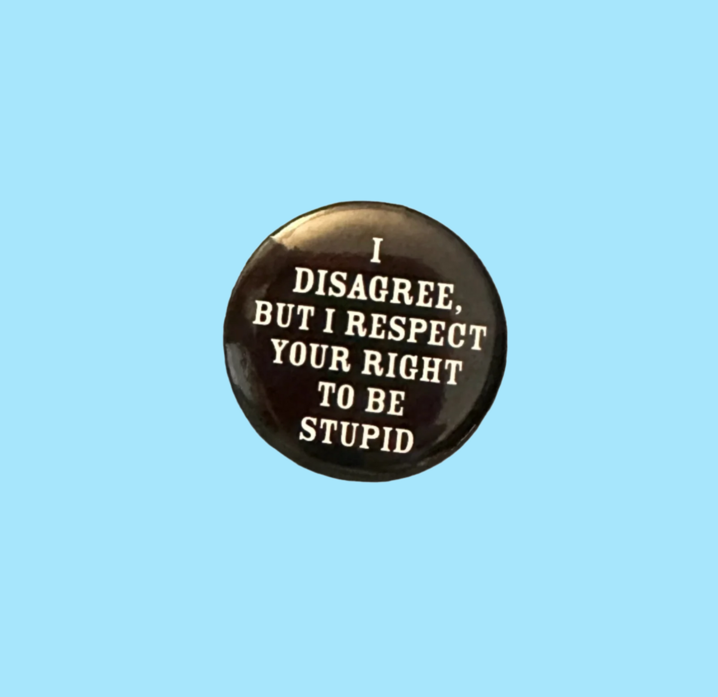 I Disagree, But I Respect Your Right To Be Stupid Button Magnet