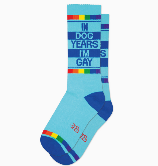 In Dog Years I'm Gay Socks