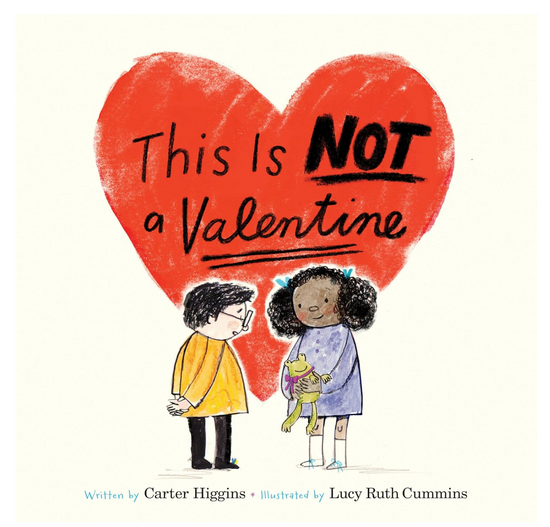 This Is Not A Valentine Book