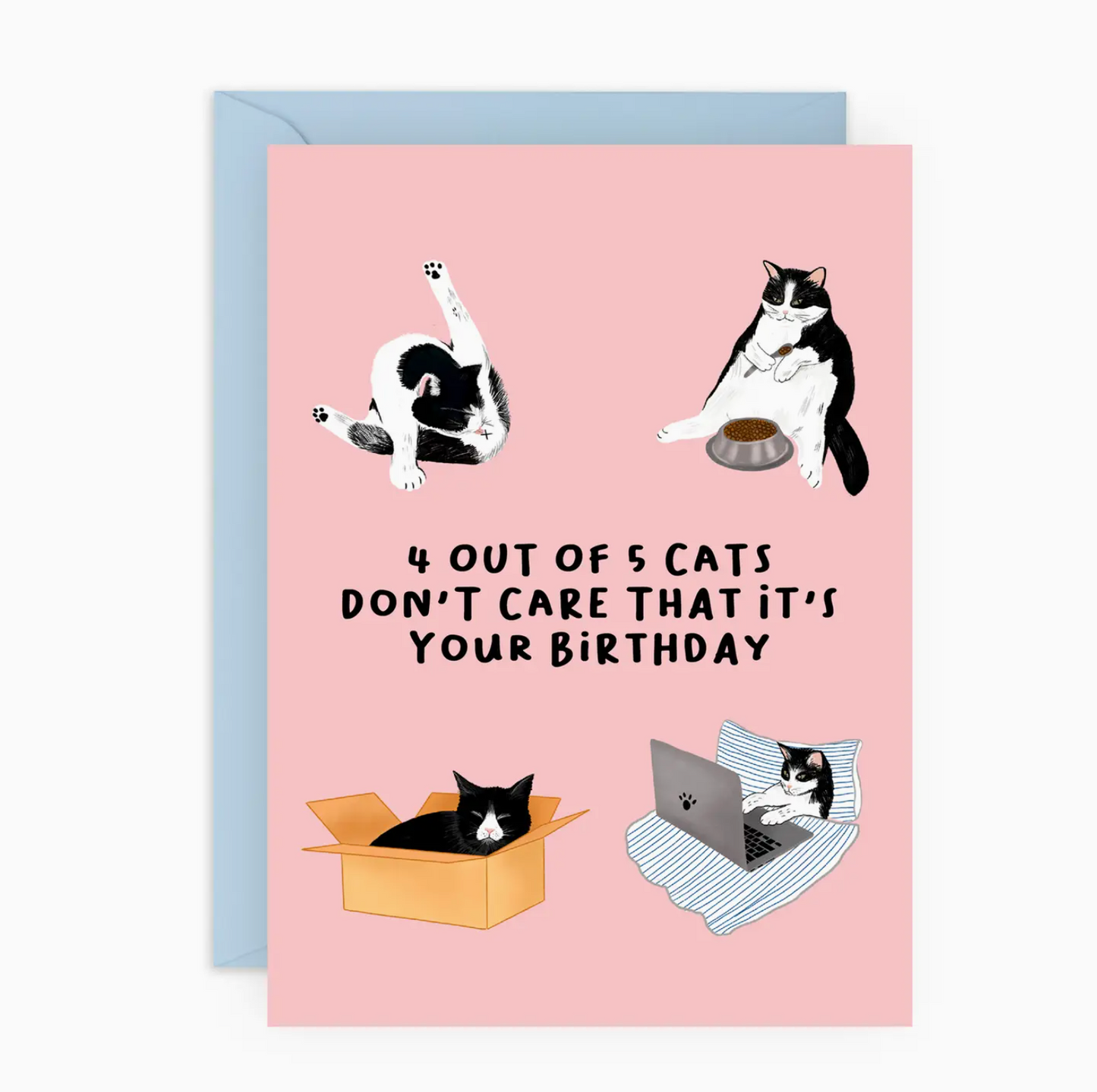 4 Out Of 5 Cats Don't Care That It's Your Birthday Card