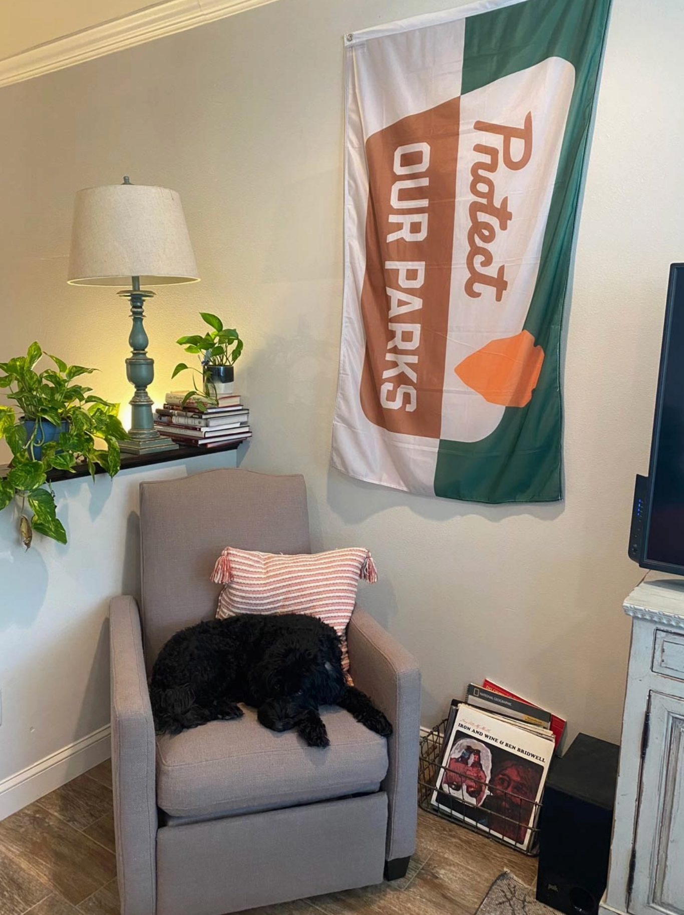 Protect our Parks Flag