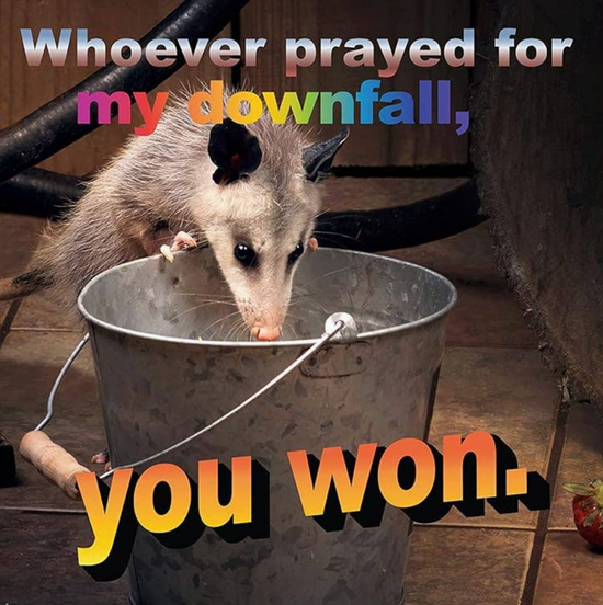 No Thoughts Just Possums Meme Photo Book