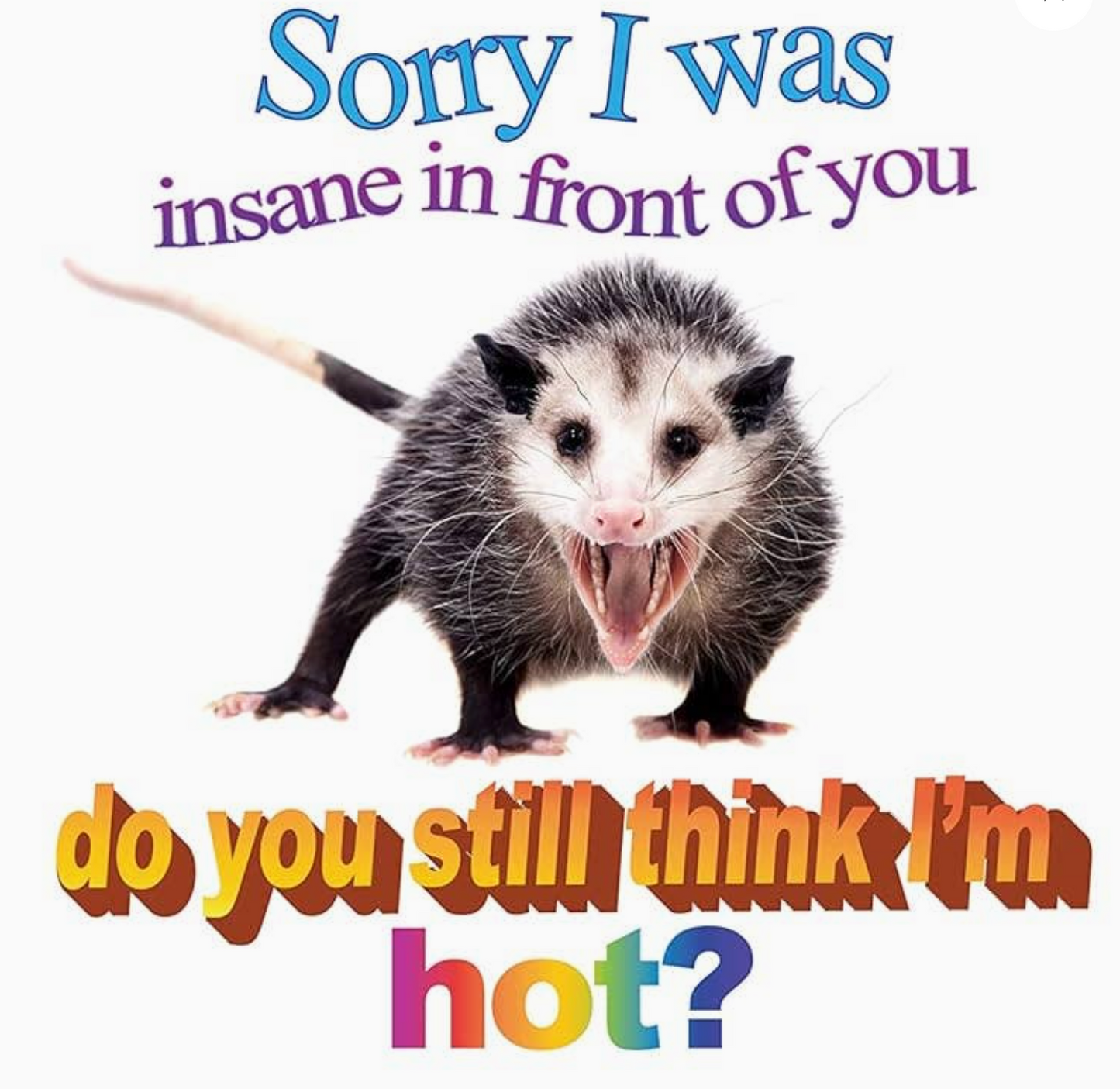 No Thoughts Just Possums Meme Photo Book