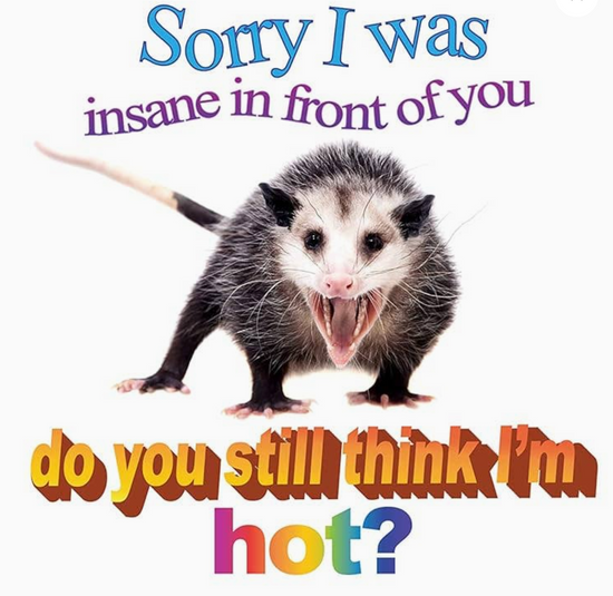 No Thoughts Just Possums Meme Photo Book