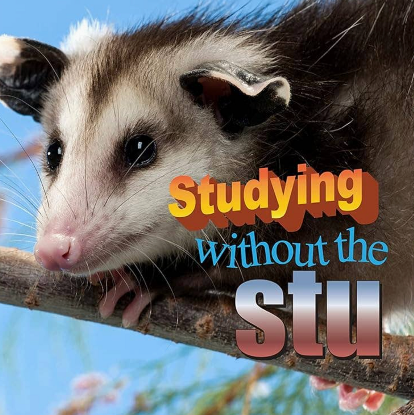 No Thoughts Just Possums Meme Photo Book
