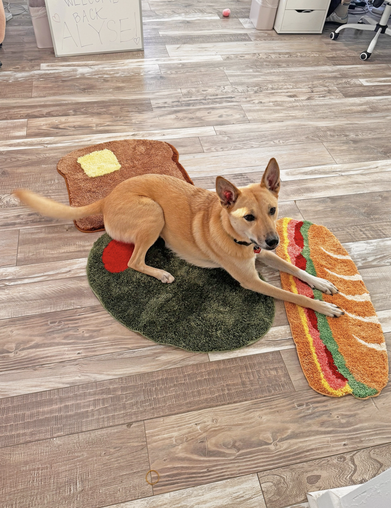Sandwich Rug