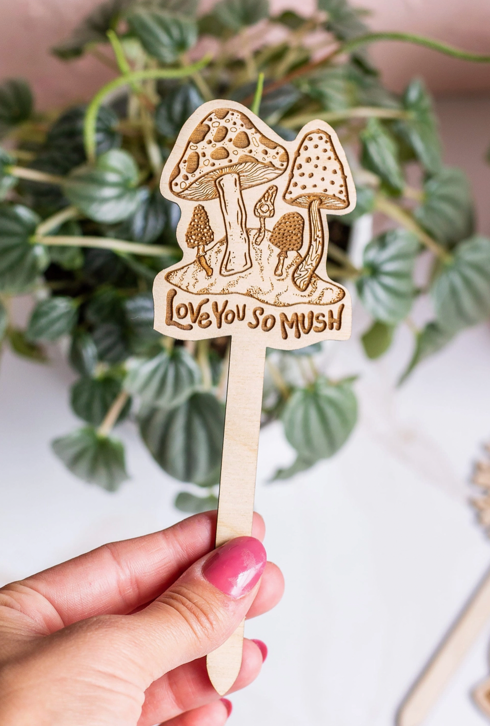 I Love You So Mush Plant Stake