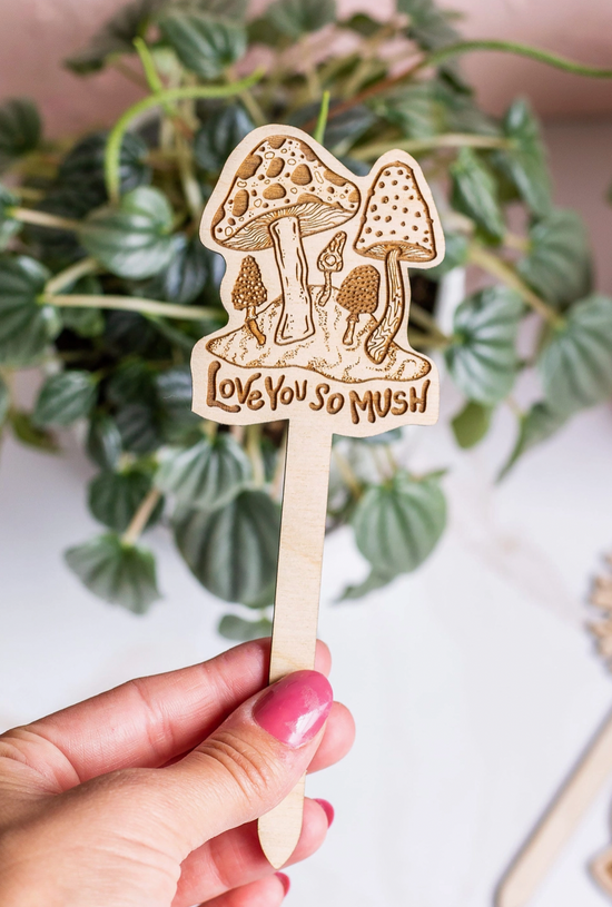 I Love You So Mush Plant Stake