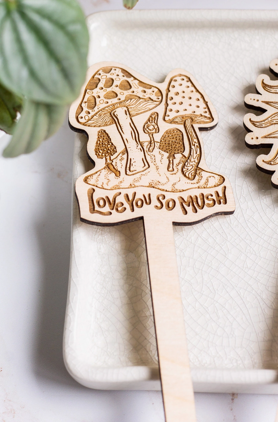 I Love You So Mush Plant Stake