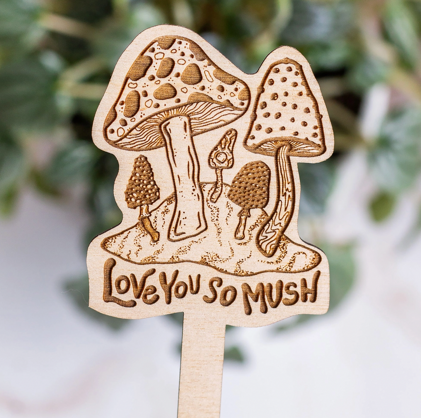 I Love You So Mush Plant Stake