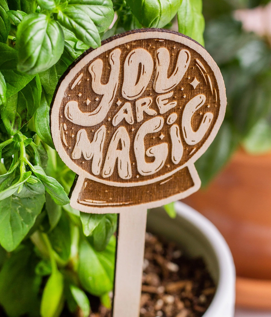 You Are Magic Plant Stake