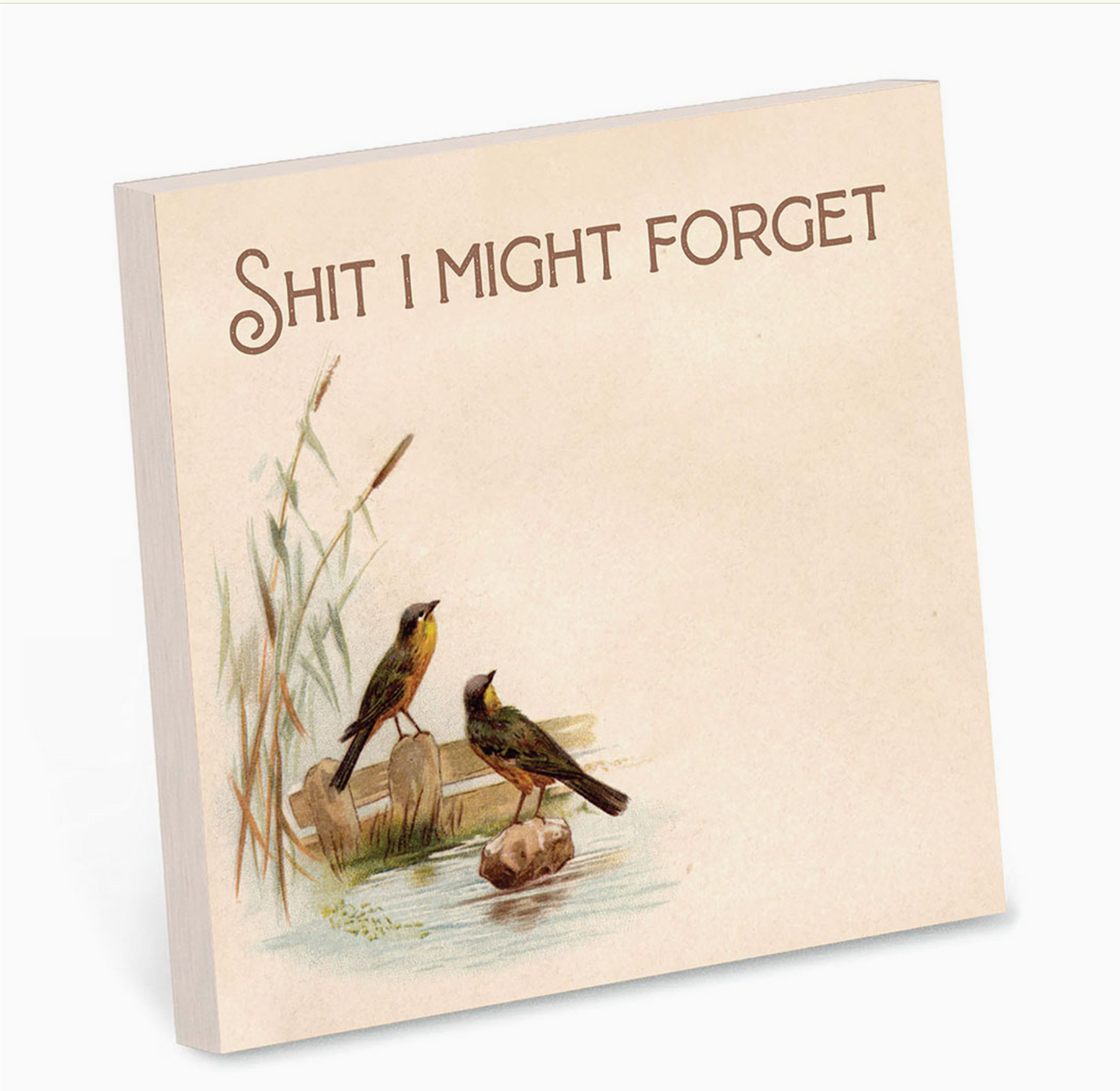 Shit I Might Forget Sticky Notes