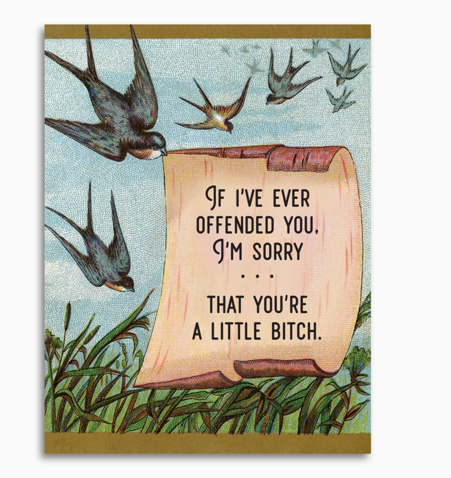 If I've Ever Offended You, I'm Sorry...That You're A Little Bitch Card