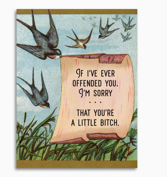 If I've Ever Offended You, I'm Sorry...That You're A Little Bitch Card