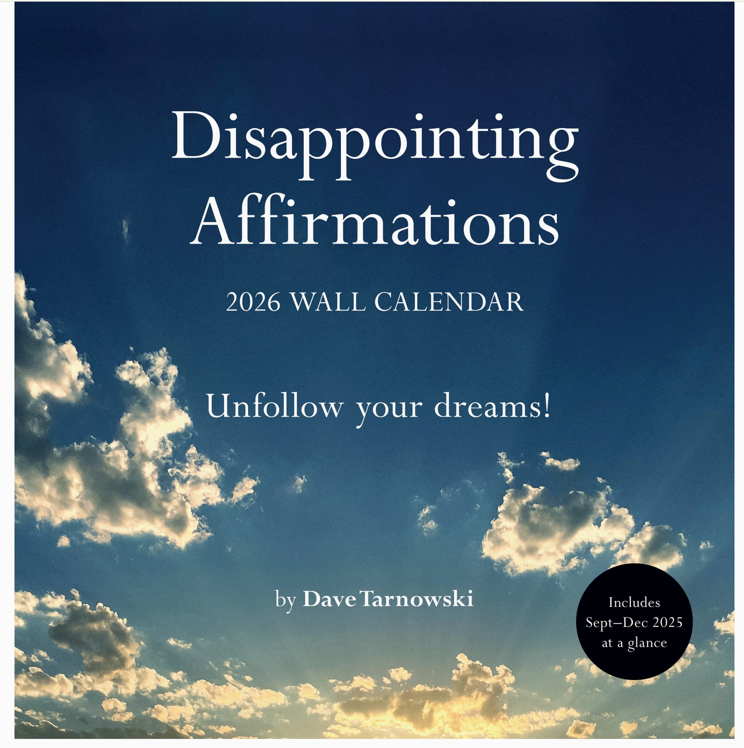 Disappointing Affirmations 2026 Wall Calendar