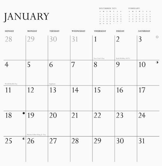 Disappointing Affirmations 2026 Wall Calendar
