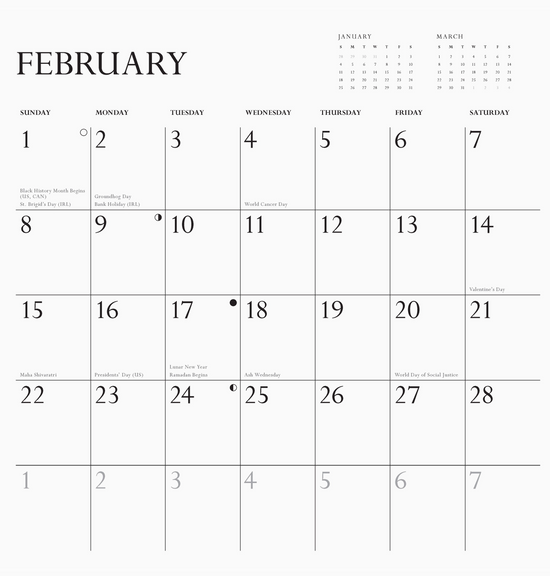 Disappointing Affirmations 2026 Wall Calendar