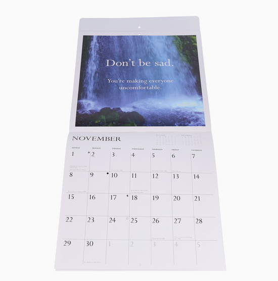 Disappointing Affirmations 2026 Wall Calendar