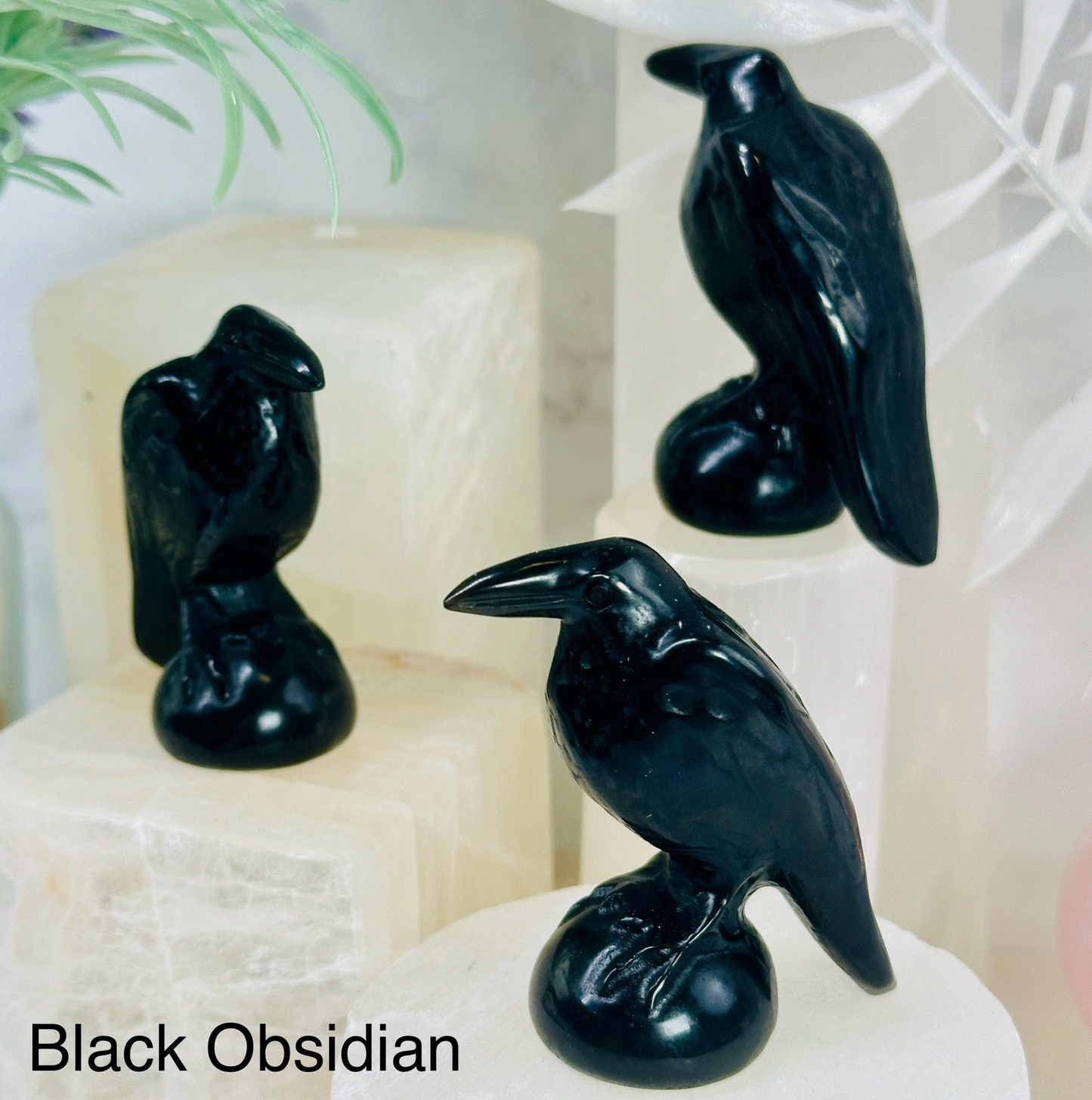 Raven Black Obsidian