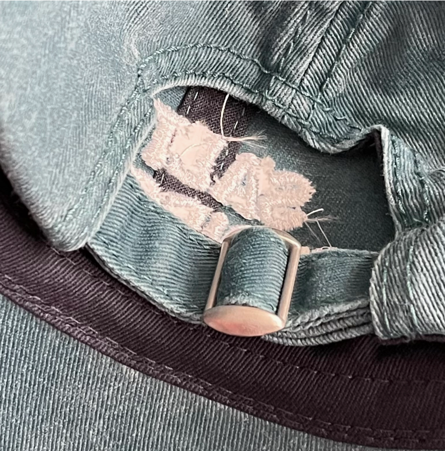Salt & Vinegar Embroidered Dad Hat