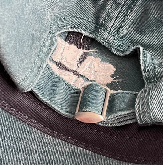 Salt & Vinegar Embroidered Dad Hat