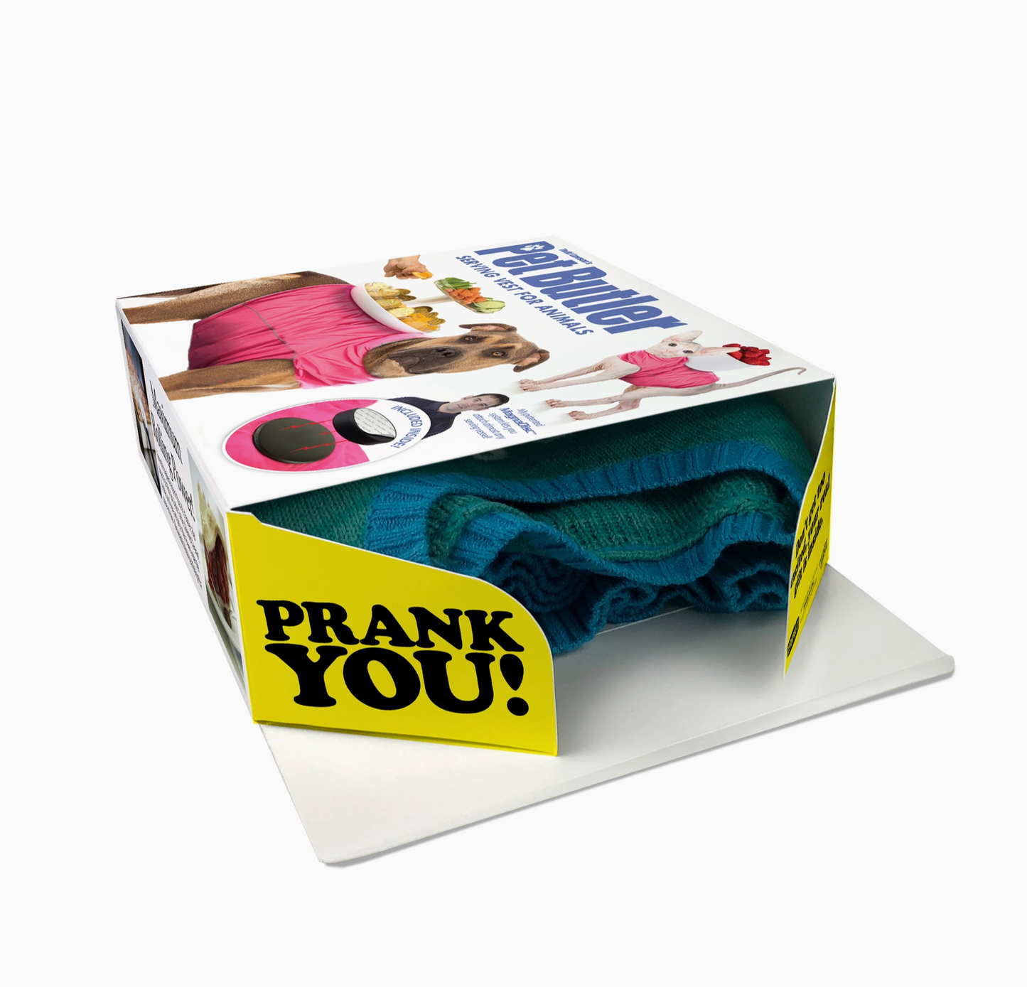 Prank Gift Box Pet Butler