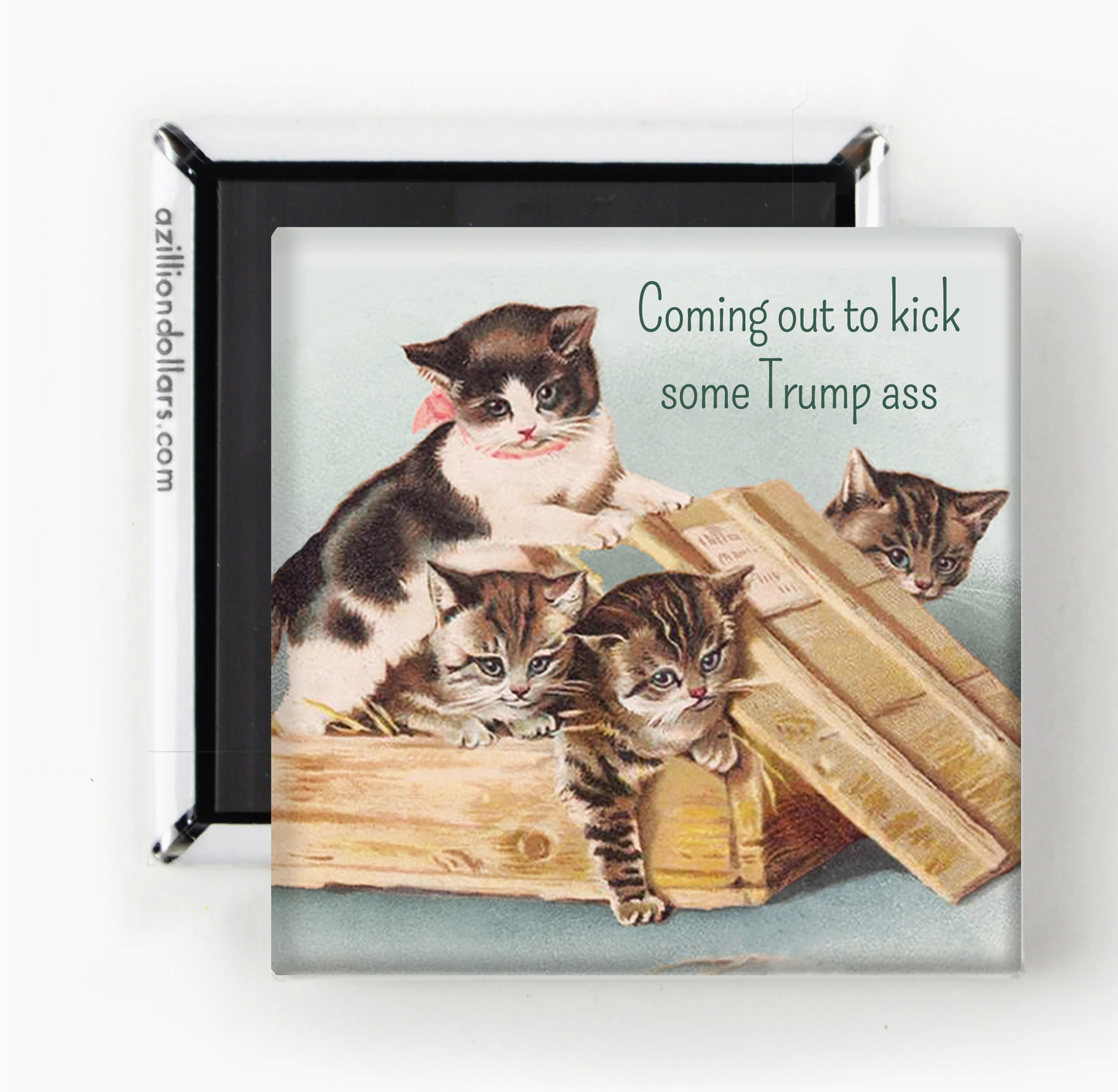 Coming Out To Kick Some Trump Ass Magnet