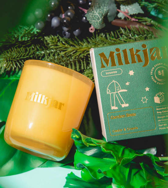 Garden State - Cedar & Cassis Coconut Soy Candle