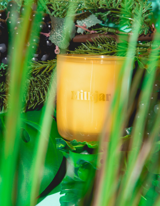 Garden State - Cedar & Cassis Coconut Soy Candle