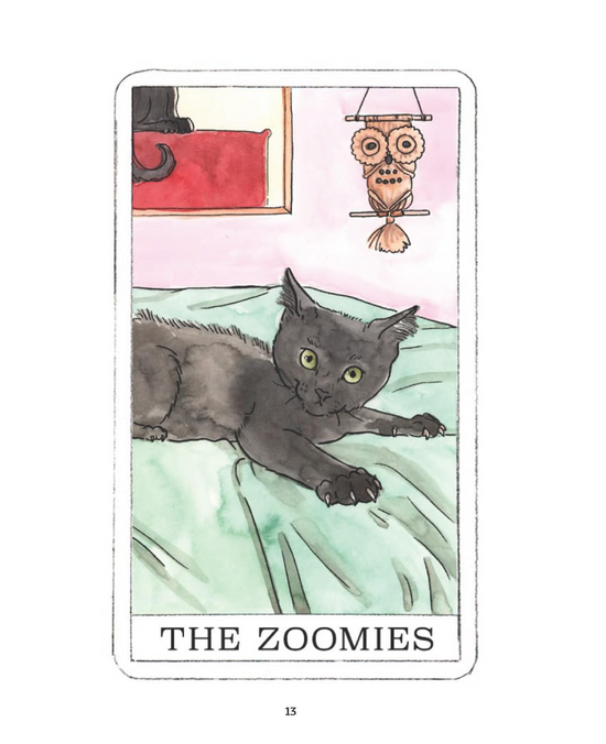 Kitten Oracle: 50 Cards & Guidebook