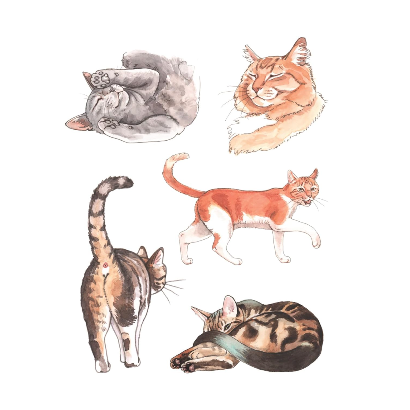 The Cat's Meow Sticker Book: 100+ Stickers of Fluffy, Feisty, and Fabulous Felines