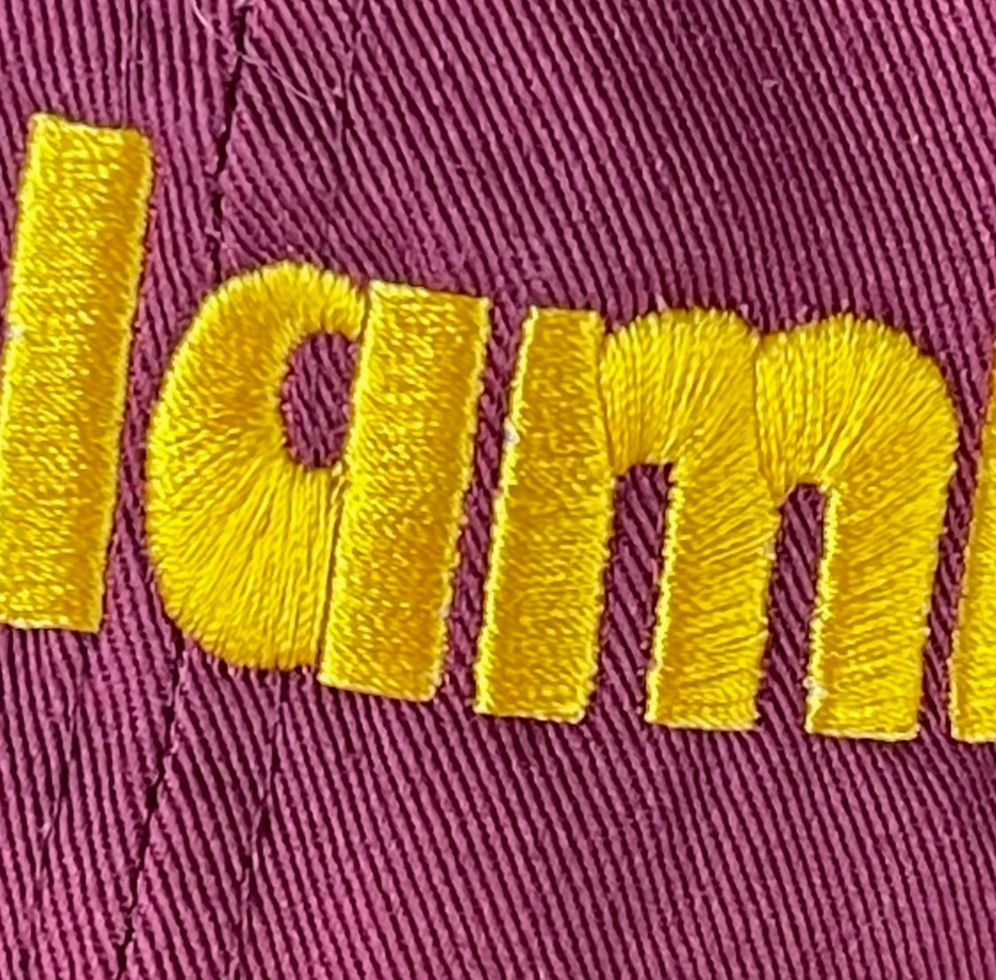 Salami Embroidered Hat