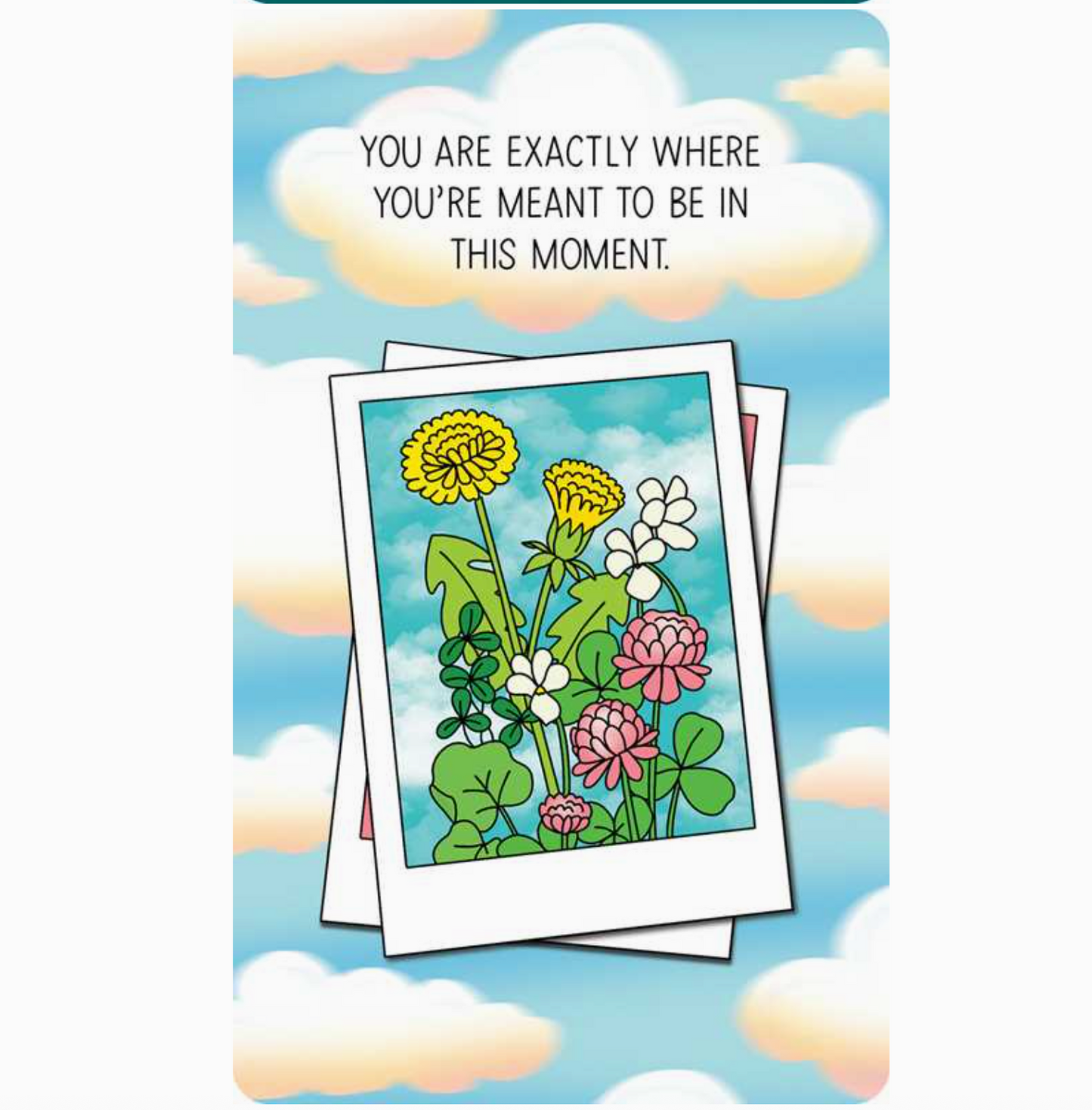 Take What You Need Deck