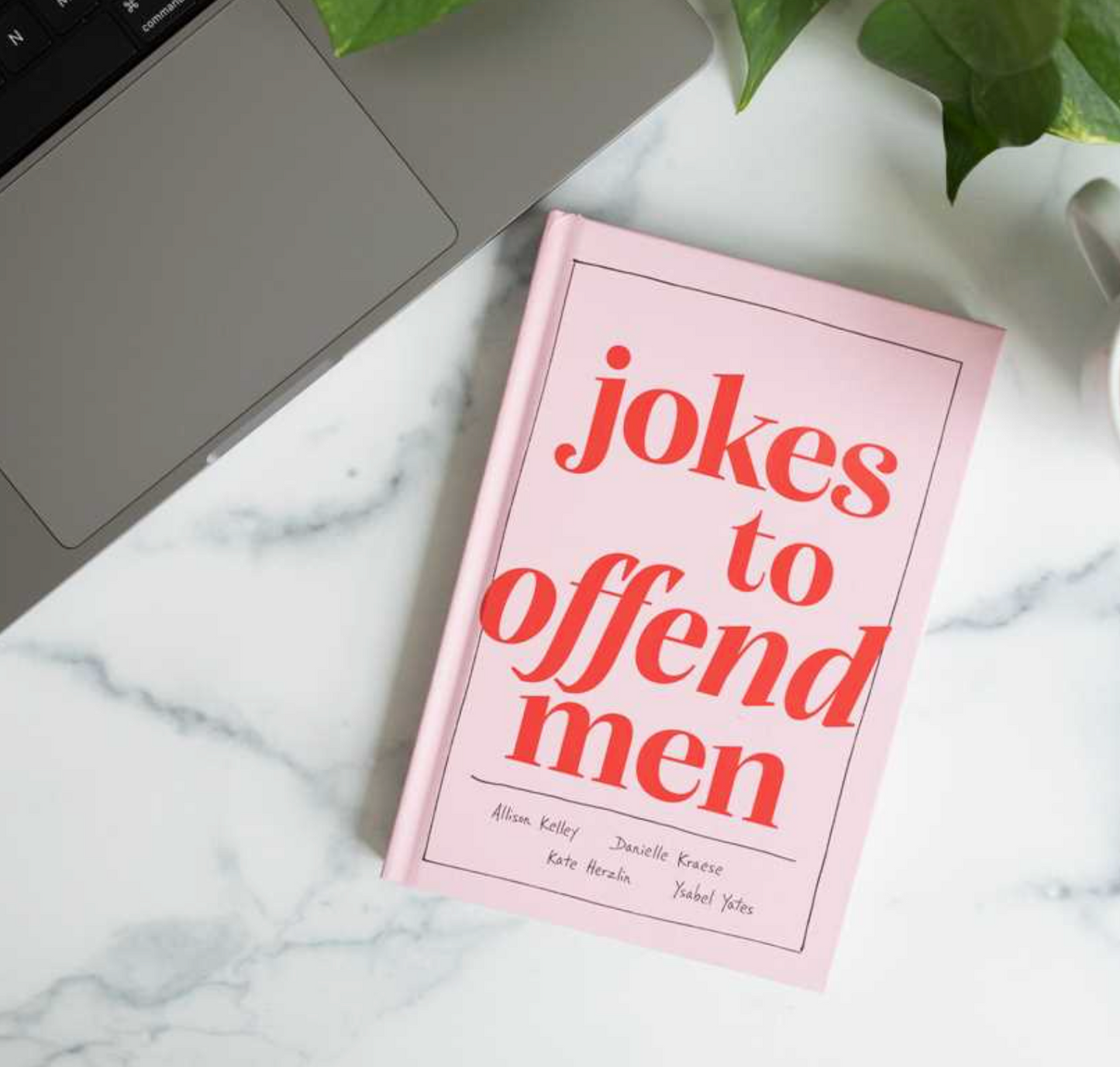 Jokes To Offend Men Book